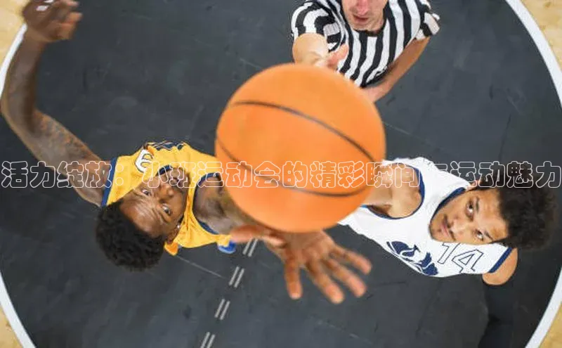 门徒注册登录地址